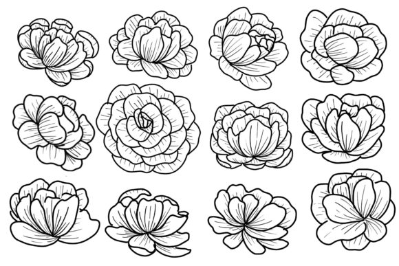 Strategic Use of Floral Draw Line Art Png for Enhanced Visual Branding