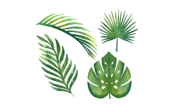Watercolor Tropical Floral Illustration: A Versatile Tool for Creative Projects